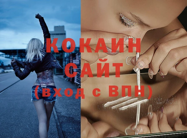 гидра Белокуриха