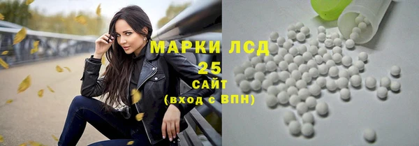 PSILOCYBIN Балахна