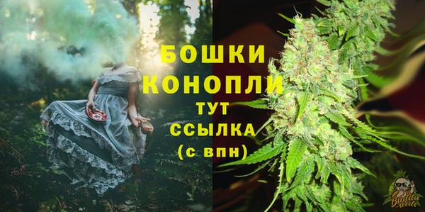 гидра Белокуриха