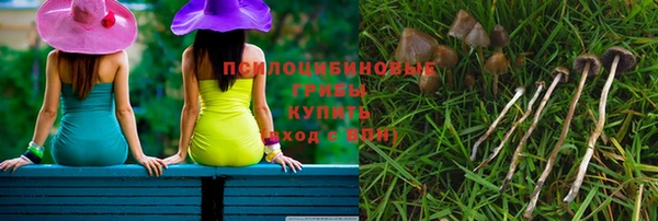 стафф Беломорск