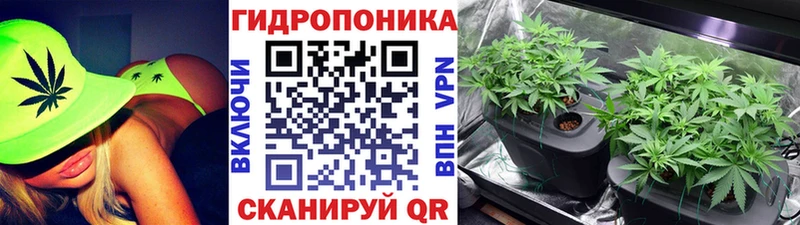 купить   Верея  Конопля AK-47 